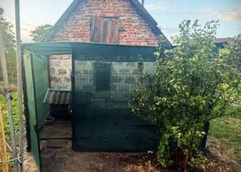 Ножем і вилами: у Львові чоловік жорстоко розправився з вівчаркою