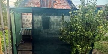 Ножем і вилами: у Львові чоловік жорстоко розправився з вівчаркою