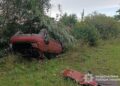 Троє травмованих у ДТП на Львівщині: автомобіль опинився у кюветі