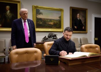 Зустріч Зеленського та Трампа: ЗМІ розкрили, що буде в центрі уваги під час розмови