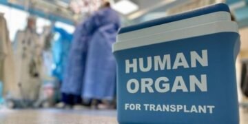 Львів утримує першість: у місті провели найбільше трансплантацій органів