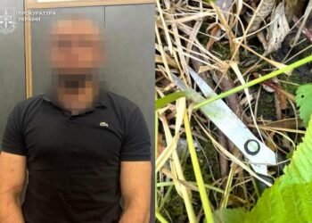 Напав на дітей із ножицями: львів’янина примусово відправили до психлікарні