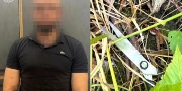 Напав на дітей із ножицями: львів’янина примусово відправили до психлікарні