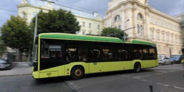 У Львові відновили контактну мережу після падіння дерева: тролейбуси курсують за звичними маршрутами