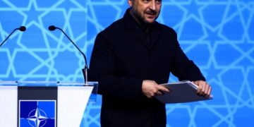 Зеленський на саміті НАТО назвав причину, чому Україна має увійти до Альянсу