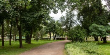 Каву, морозиво та солодощі: у Львові знову здають в оренду місця для торгівлі у парках