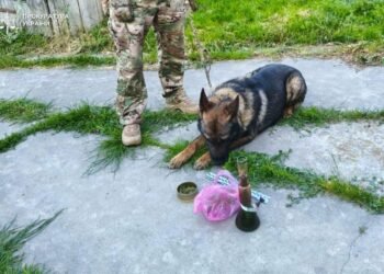 «Закладки» і гараж як точка збуту: на Львівщині судитимуть наркоторговця