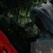 Сенсаційна знахідка під час відбудови: у музеї Шухевича на Білогорщі виявили таємне підземелля