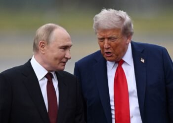 Путін і Трамп провели телефонну розмову: говорили про війну в Україні