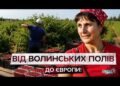 Українські виробники ягід нарощують експорт до ЄС та США