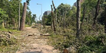 Після протестів на Теремках призупинили вирубку дерев: активісти кажуть, що їх “не почули”