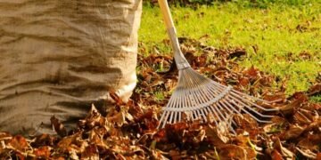 Штраф до 6 тисяч гривень за купку листя: паркан більше не рятує