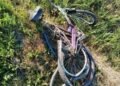 На Львівщині «Жигулі» збили велосипедиста: 59-річний чоловік загинув на місці ДТП