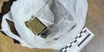 На Львівщині викрили чоловіка, який, ймовірно, збував канабіс наркозалежним
