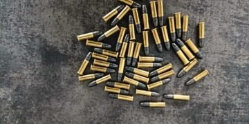 Зберігав удома гвинтівку та десятки патронів: на Львівщині чоловіку загрожує до 7 років тюрми, – ФОТО