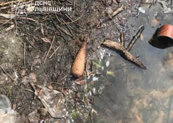 На Львівщині в обмілілому озері знайшли міни часів Другої світової війни, – ФОТО