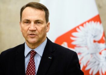 Сікорський запропонував створити “Європейський легіон” із залученням українських ветеранів