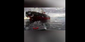 Зеленський розповів про нові мідлзайчики: російський контейнеровоз Yanina пішов на дно