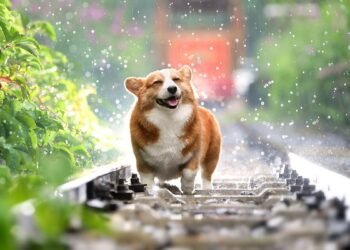 31 серпня: Яке сьогодні свято, все про цей день
