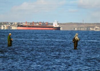 Туреччина обмежила прохід суден у Чорне море через сплеск атак, – Bloomberg