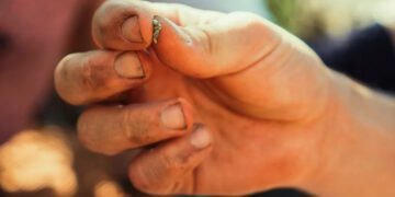 У “Сховищі Судного дня” провели інвентаризацію: висновки виявилися тривожними