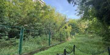 У Львові до листопада триватиме ексгумація польських військових поховань 1939 року