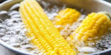 Як варити кукурудзу, щоб вона була соковитою: прості секрети