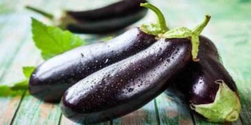 Топ-3 прості рецепти з баклажанів: смачні страви на кожен день