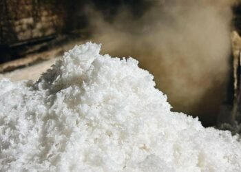 Дрогобицьку солеварню повторно виставили на приватизацію