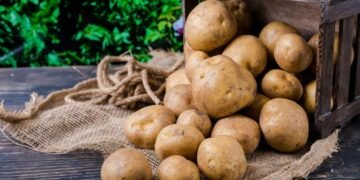 Як правильно зберігати картоплю, щоб вона не проростала: головні правила та поширені помилки