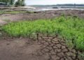 П’ять річок на Львівщині досягли рекордно низьких рівнів води: синоптики оголосили гідрологічне попередження