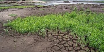 П’ять річок на Львівщині досягли рекордно низьких рівнів води: синоптики оголосили гідрологічне попередження