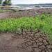 П’ять річок на Львівщині досягли рекордно низьких рівнів води: синоптики оголосили гідрологічне попередження