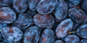 Від пирога до соусу: що приготувати зі свіжих слив