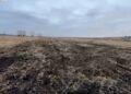 Фермерське господарство втратить 15 га землі на Львівщині через порушення умов оренди