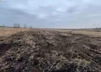 Фермерське господарство втратить 15 га землі на Львівщині через порушення умов оренди