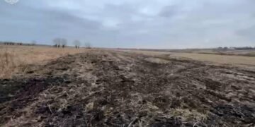 Фермерське господарство втратить 15 га землі на Львівщині через порушення умов оренди