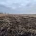 Фермерське господарство втратить 15 га землі на Львівщині через порушення умов оренди