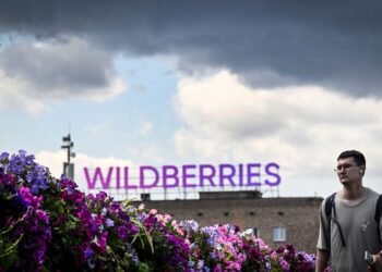 Україна вивела з ладу 7 із 10 найбільших центрів Wildberries, – Міноборони