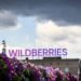 Україна вивела з ладу 7 із 10 найбільших центрів Wildberries, – Міноборони