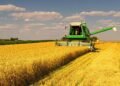 На Львівщині сільськогосподарське виробництво зросло на 14,3%