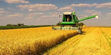 На Львівщині сільськогосподарське виробництво зросло на 14,3%