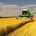 На Львівщині сільськогосподарське виробництво зросло на 14,3%