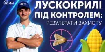 LNZ Hub: який інсектицид спрацював найкраще проти лускокрилих шкідників