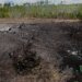 В Україні за тиждень через ворожі атаки вигоріли 84 гектари лісу