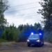 У Німеччині вже виявили 21 вибуховий пристрій біля ліній електропередач: хто взяв на себе відповідальність