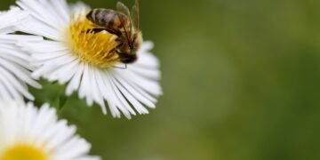 2 вересня: Яке сьогодні свято, все про цей день