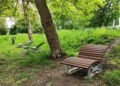 У Львові 29 вересня оброблять парки від кліщів: де не варто гуляти