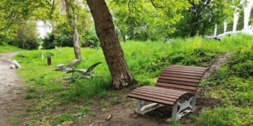 У Львові 29 вересня оброблять парки від кліщів: де не варто гуляти