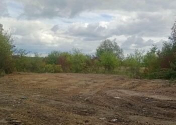 Біля Ставчан прибрали несанкціоноване звалище відходів